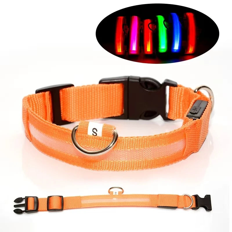 Coleira Led Brilhante